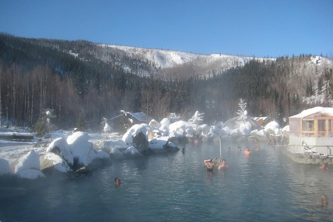 Northern Lights & Chena Hot Springs Tour - Hunting for the aurora after dark