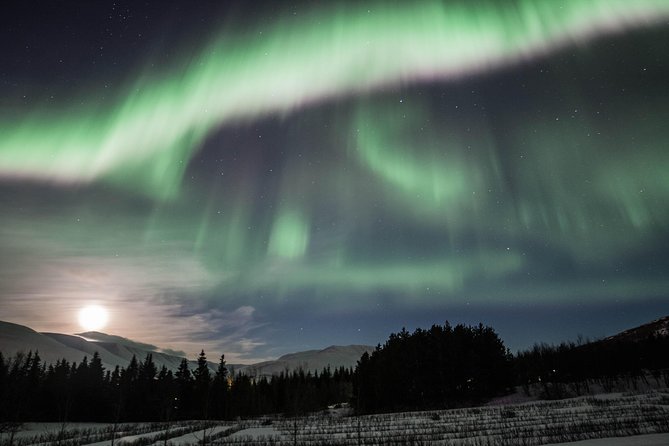 Northern Lights Classic MiniBus Tour from Akureyri - Leaving Akureyri at 9:30 pm