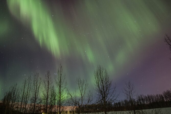Northern Lights Classic MiniBus Tour from Akureyri - The free retry changes the value