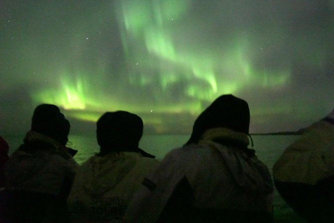 Northern Lights Cruise from Reykjavik Including Photos - Who will get the most from this outing?