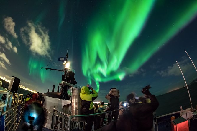 Northern Lights Cruise from Reykjavik Including Photos - The guide turns waiting into part of the evening