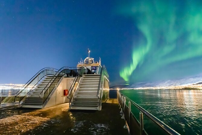 Northern Lights Cruise in Bodø - Key points to know before booking