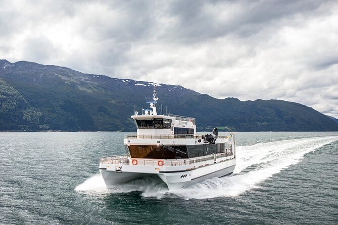 Northern Lights Cruise in Bodø - What the price means at $105.13