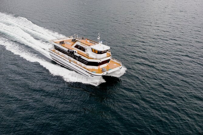Northern Lights Cruise in Bodø - Who will enjoy this Bodø evening most