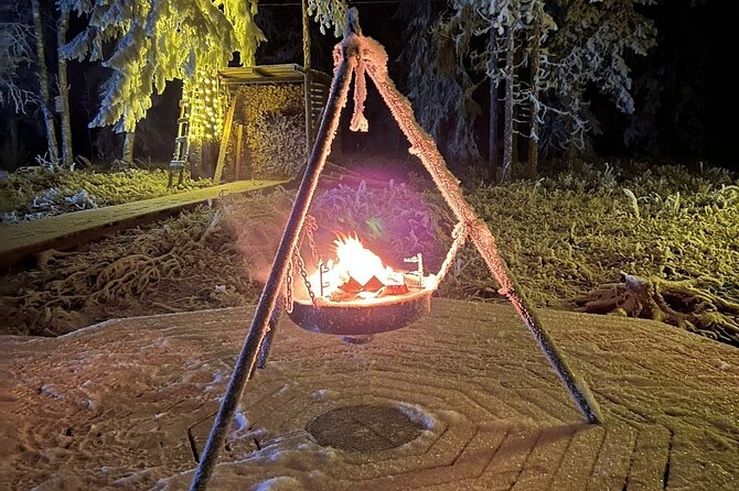 Northern Lights dinner in a Glass Igloo - Hunting for the Northern Lights from indoors