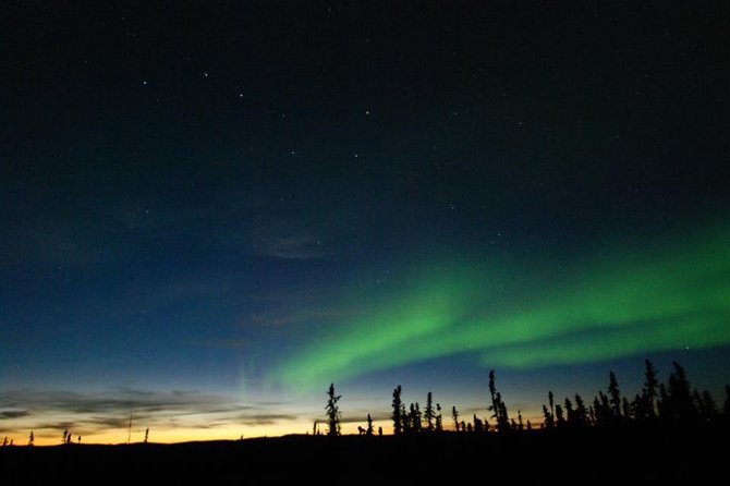 Northern Lights Experience and Cabin Dinner - A five-hour night built around patience