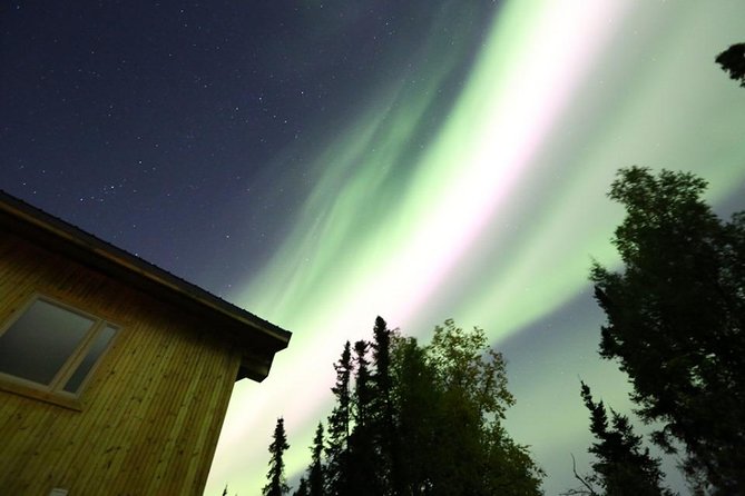 Northern Lights Experience and Cabin Dinner - The aurora is the beautiful unknown