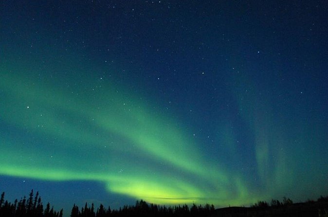 Northern Lights Experience and Cabin Dinner - Who should book this Fairbanks evening?