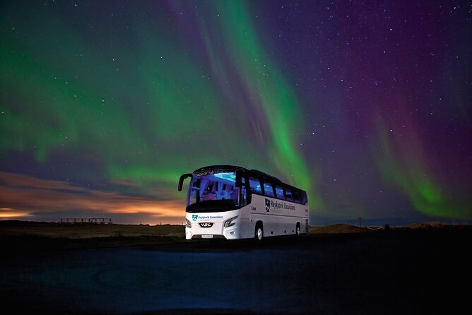 Northern Lights Guided Bus Tour from Reykjavik - The biggest factor: clouds and timing