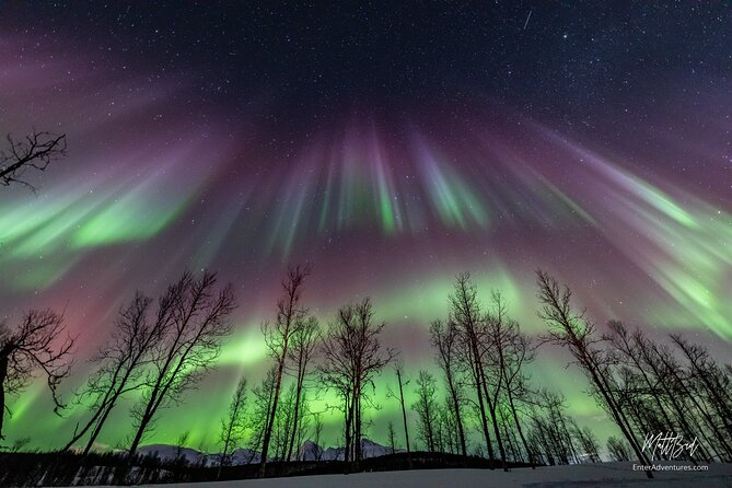 Northern Lights Guided Bus Tour with Free Photos - What happens when the aurora appears