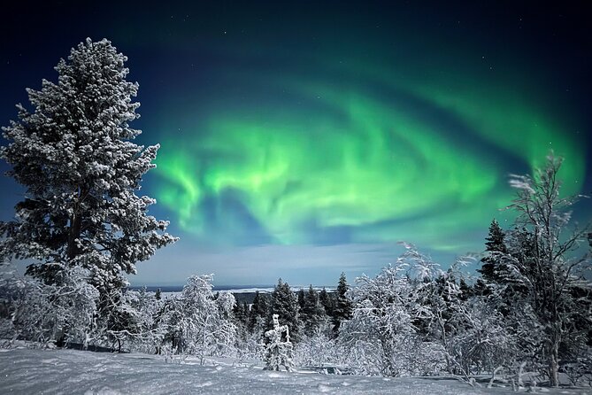 Northern Lights Holiday in Finland - Day two: reindeer, Sámi culture, and your first Aurora hunt