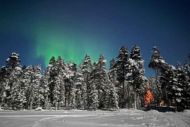 Northern Lights Holiday in Finland - Day three: ice fishing, fire-cooked lunch, and cold-water choices