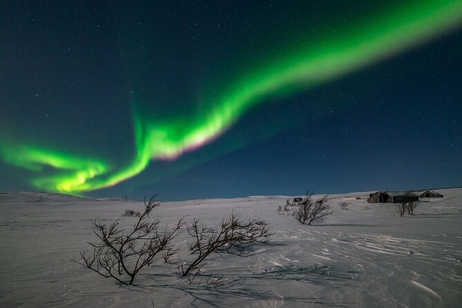 Northern Lights Hunt - Key points to know before booking