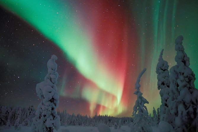 Northern Lights Hunt from Rovaniemi with Folk Tales and Snacks over Campfire - Key details before you book