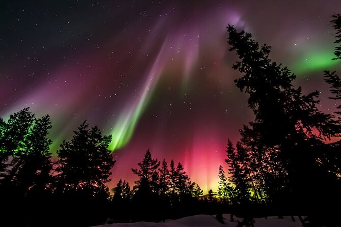 Northern Lights Hunt from Rovaniemi with Folk Tales and Snacks over Campfire - What happens when the Northern Lights do not appear
