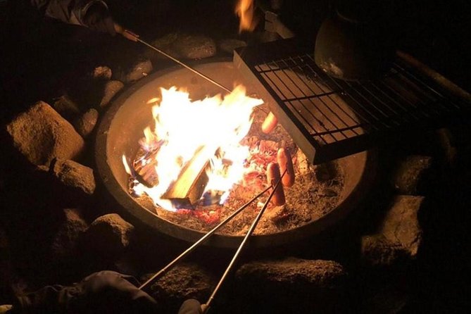 Northern Lights Hunt Including Snacks on Campfire from Levi - Dress for three hours in winter darkness