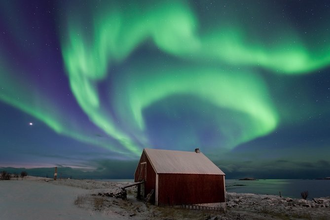 Northern Lights Hunt Including Snacks on Campfire from Rovaniemi - What the three-hour schedule really gives you