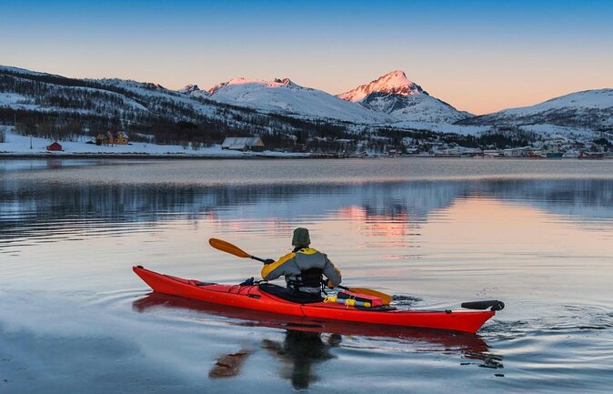 Northern Lights Hunt with The Green Adventure - photos included - Key points to know before booking