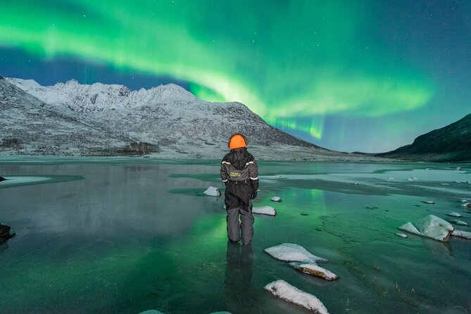 Northern Lights Hunt with The Green Adventure - photos included - What the guide and driver add to the night