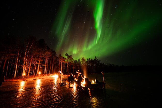 Northern Lights Hunting Expedition in Ranua, Lapland - Why this Ranua aurora hunt feels different