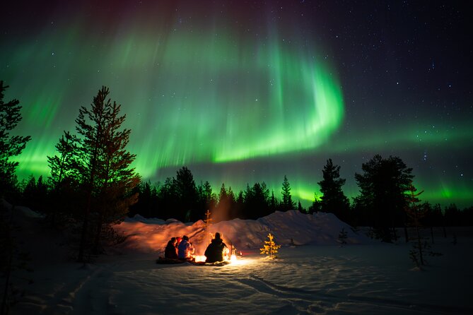 Northern Lights Hunting Expedition in Ranua, Lapland - The real value of the professional photographs