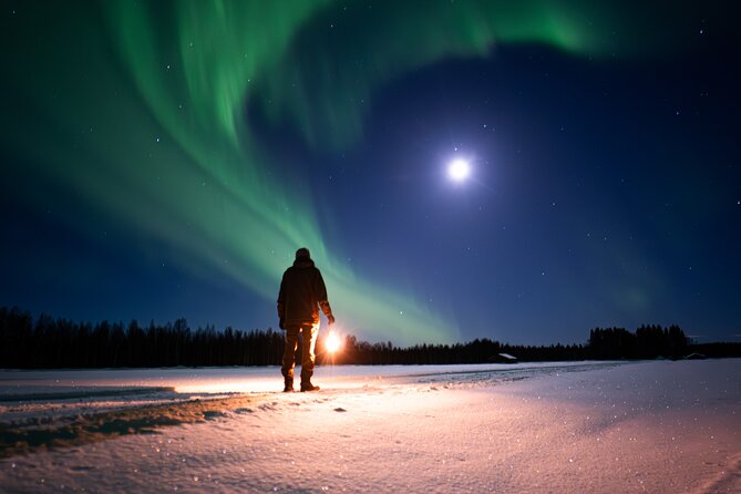 Northern Lights Hunting Expedition in Ranua, Lapland - What happens if clouds cover Ranua