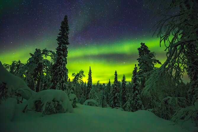 Northern Lights Hunting of Rovaniemi - Cold-weather planning is not optional