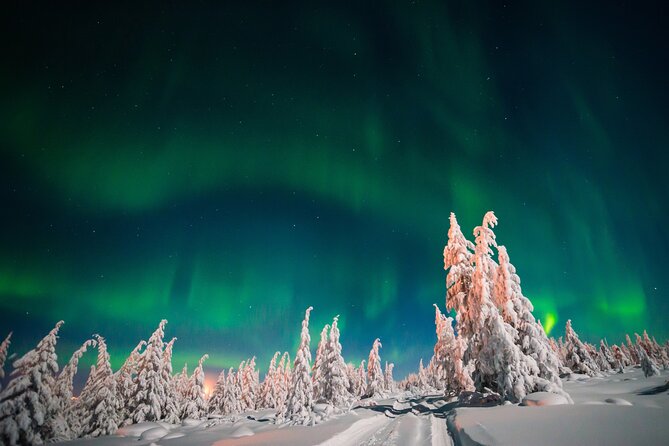 Northern Lights Hunting of Rovaniemi - Group size and the small-group question