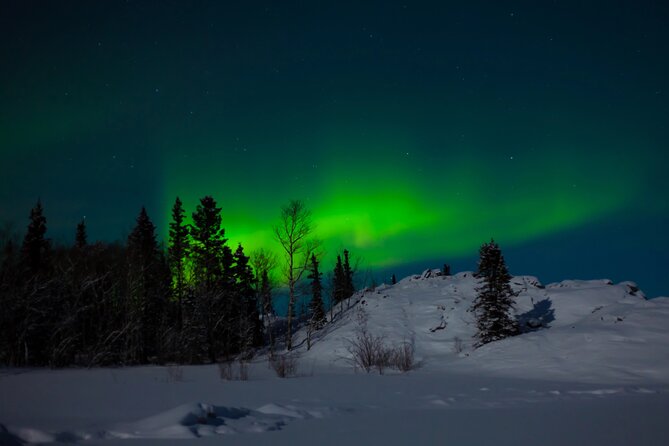 Northern Lights Hunting of Rovaniemi - The campfire stop adds Finnish flavor