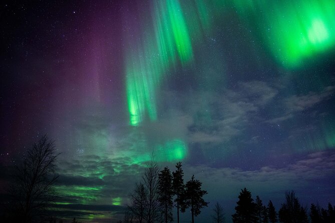 Northern Lights Hunting Photography Tour in Levi - Meeting in Levi and Getting Ready for the Night