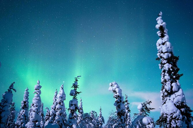 Northern Lights Hunting Photography Tour in Levi - Staying Warm When the Lights Take Their Time