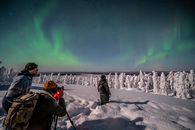Northern Lights Hunting Photography Tour in Levi - Who Will Get the Most From the $147.69 Price