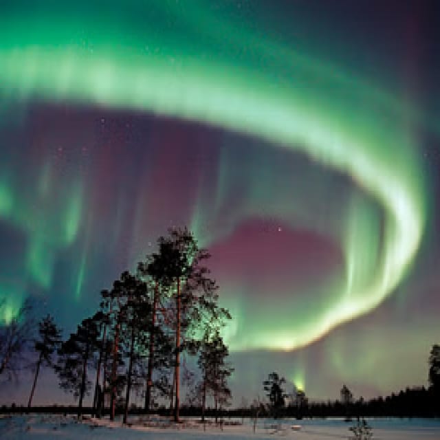 Northern Lights Hunting with Aurora Workshop - Making the most of the photography session
