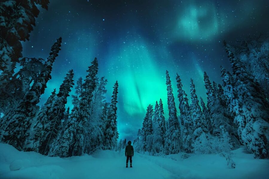 Northern Lights Hunting with Aurora Workshop - Is $199 a fair price?