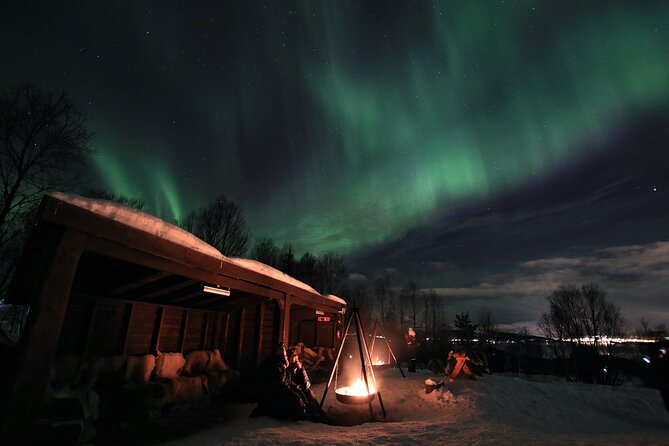 Northern Lights Husky Visit - The 6:45 p.m. departure from central Tromsø