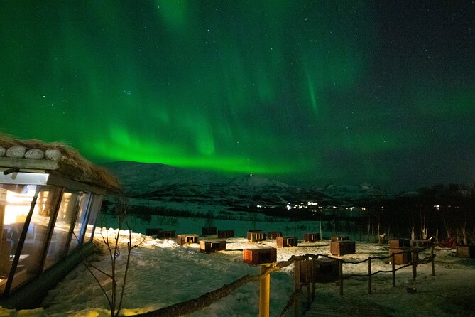 Northern Lights Husky Visit - Bacalao, chocolate cake, and a warm Gamme hut