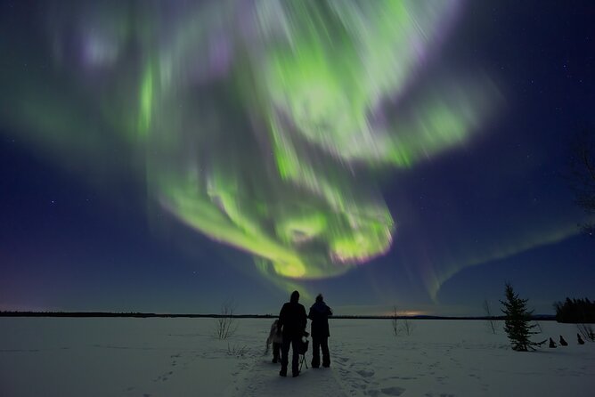 Northern Lights Lodge & Chase Tour from Fairbanks - Quick facts about the night