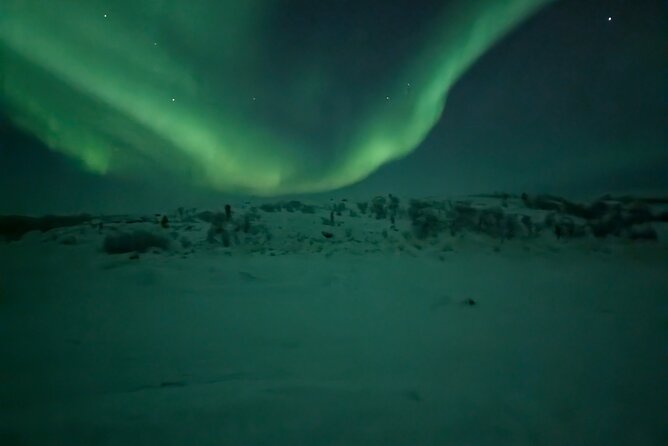 Northern Lights Minibus Chase Max 16 Person In Group - The 8:00 pm pickup and start