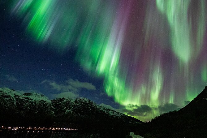 Northern Lights Minibus with Photos Dinner Warm suits - A private minibus rather than a large coach