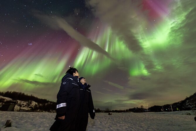 Northern Lights Minibus with Photos Dinner Warm suits - The guides are central to the experience