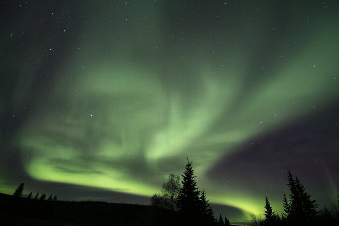 Northern Lights Murphy Dome Viewing in Fairbanks - Hot drinks, cold air, and van life