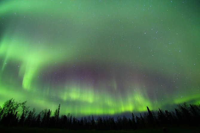 Northern Lights Murphy Dome Viewing in Fairbanks - Is $120 a fair price?
