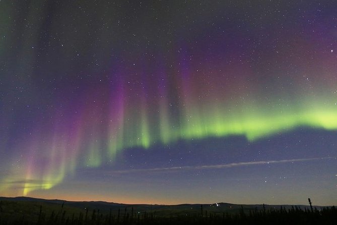 Northern Lights Murphy Dome Viewing in Fairbanks - Who will enjoy this Fairbanks night tour?