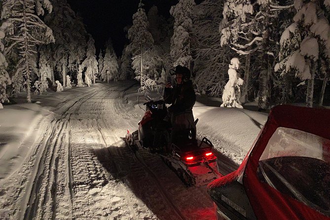 Northern Lights Night by Snowmobile (private tour) - Forest trails, frozen lakes, and the ride itself