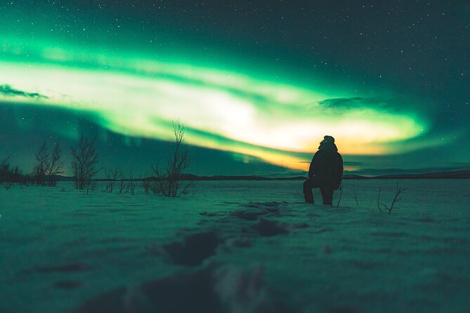Northern Lights Photo Expedition Dinner Included from Abisko - The weather risk is real