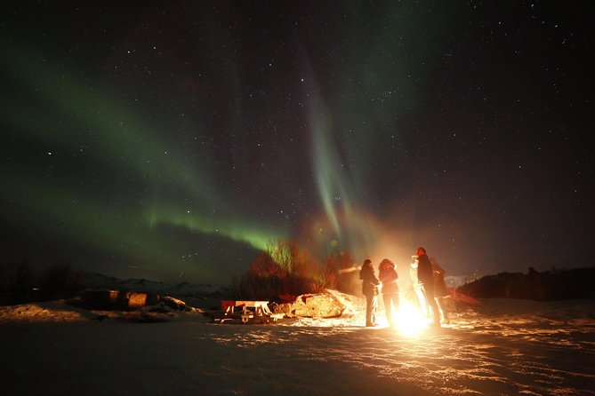 Northern Lights Photography Tour - Waiting outside without freezing