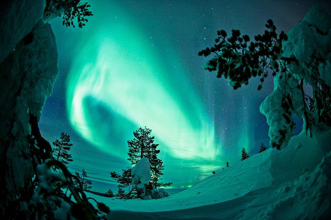 Northern Lights Photography Tour from Rovaniemi - Who will enjoy this five-hour evening
