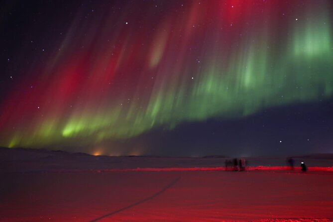 Northern Lights Private Tour from Reykjavik - Who should book this private tour