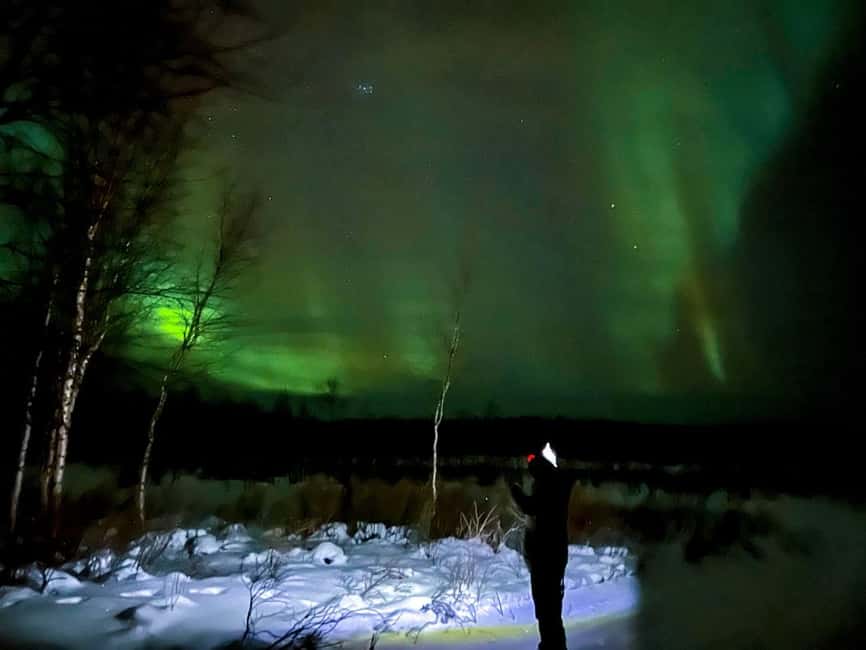 Northern lights private tour Rovaniemi - Why Private Touring Helps Under a Dark Sky