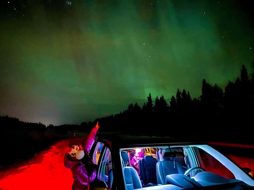 Northern lights private tour Rovaniemi - Who Will Like This Tour Most?